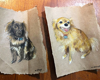 Brown Paper Bag Collection